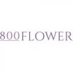 800-Flower-Coupon-Promo-Codes