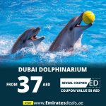 dolphinarium coupons