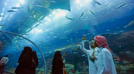 underwater-tunnel-in-dubai-aquarium