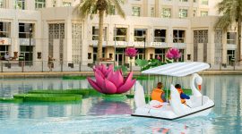The-Dubai-Fountain-SWAN-BOATS-WITH-PEDAL