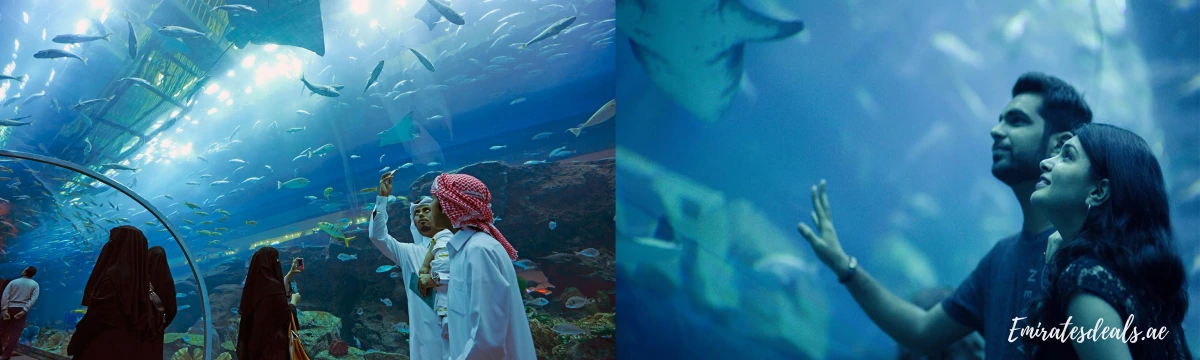 Dubai-Aquarium-Offers