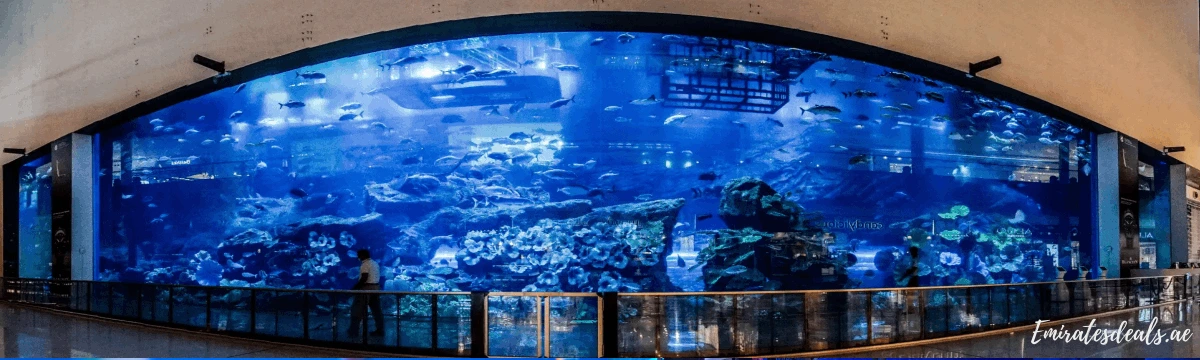 Dubai-Aquarium-and-Underwater-zoo-Offers
